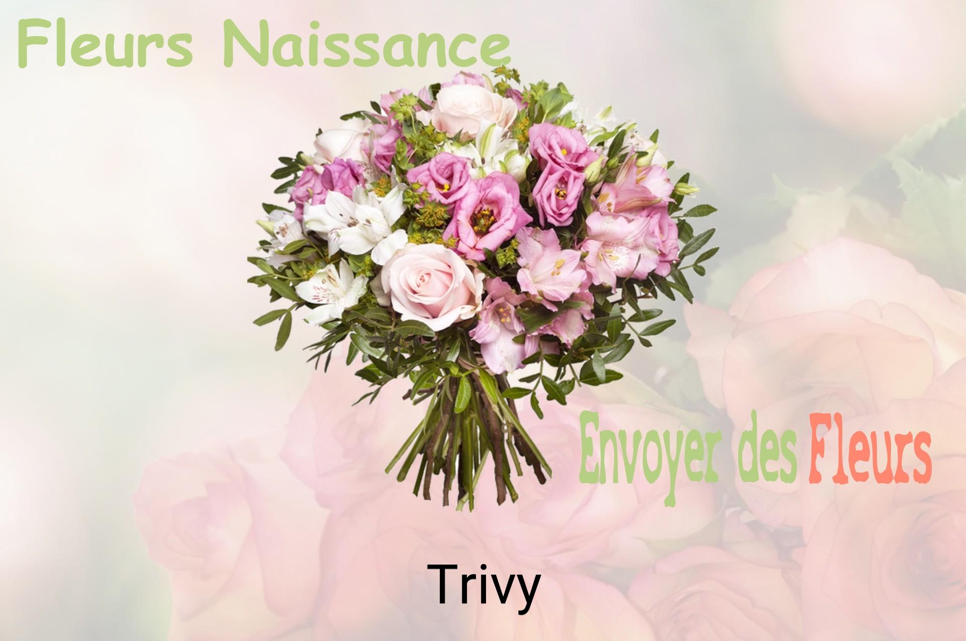 Bouquet de fleurs de naissance livré à Trivy